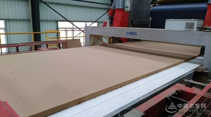 豐林木業(yè)18萬(wàn)m/a中纖板首板順利下線(xiàn)!