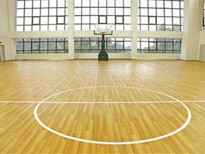 森體木業 圖 ,體育木地板使用壽命,體育木地板