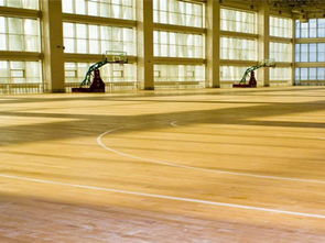 森體木業(yè) 圖 實(shí)木運(yùn)動地板價格 松原實(shí)木運(yùn)動地板