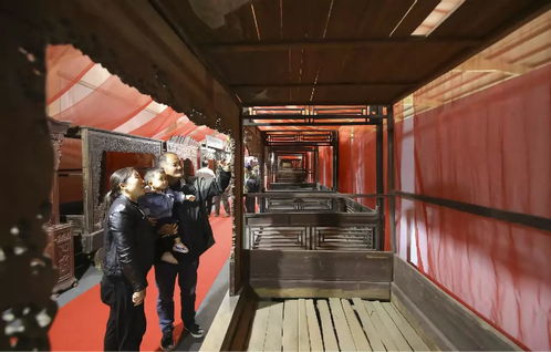 木業(yè)之都 登上央視